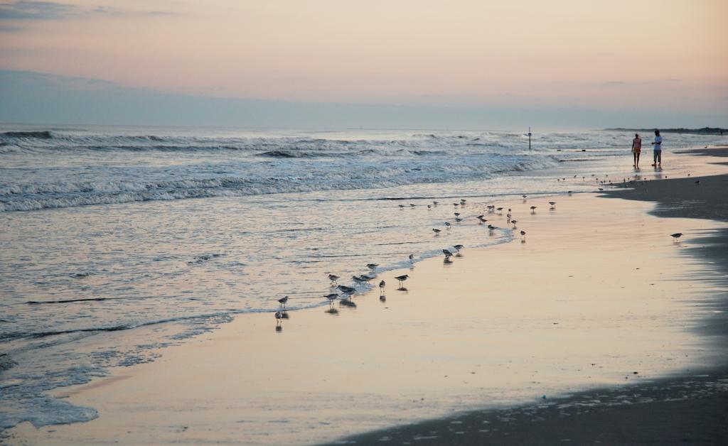Shalimar Resort Wildwood Crest Eksteriør billede